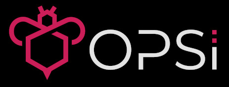 opsi-client-management-system